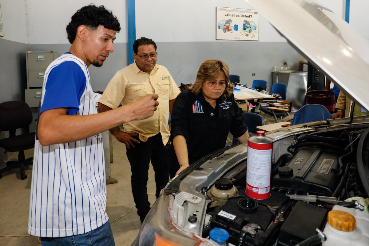 Desde los 16 años: así puedes acceder a más de 8,500 cursos en 2026