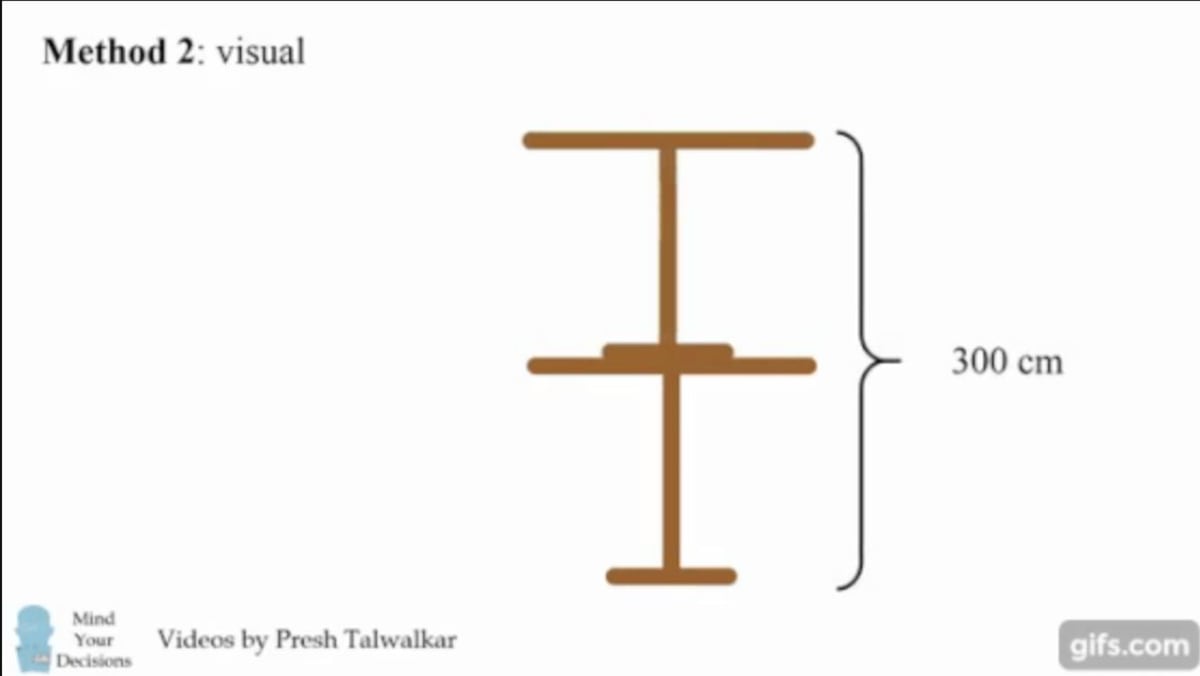 Cuál es la respuesta al acertijo chino del gato y la tortuga