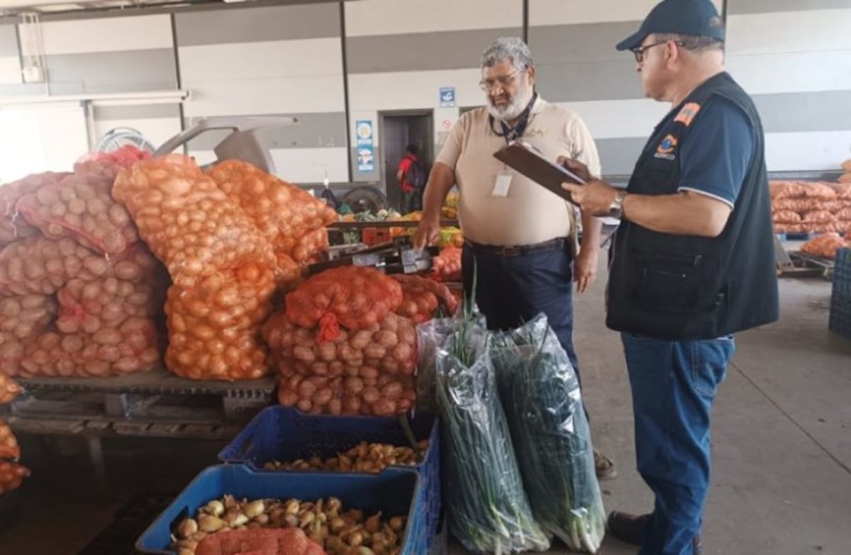 Acodeco pone el ojo en la cebolla ante quejas por escasez en temporada navideña 