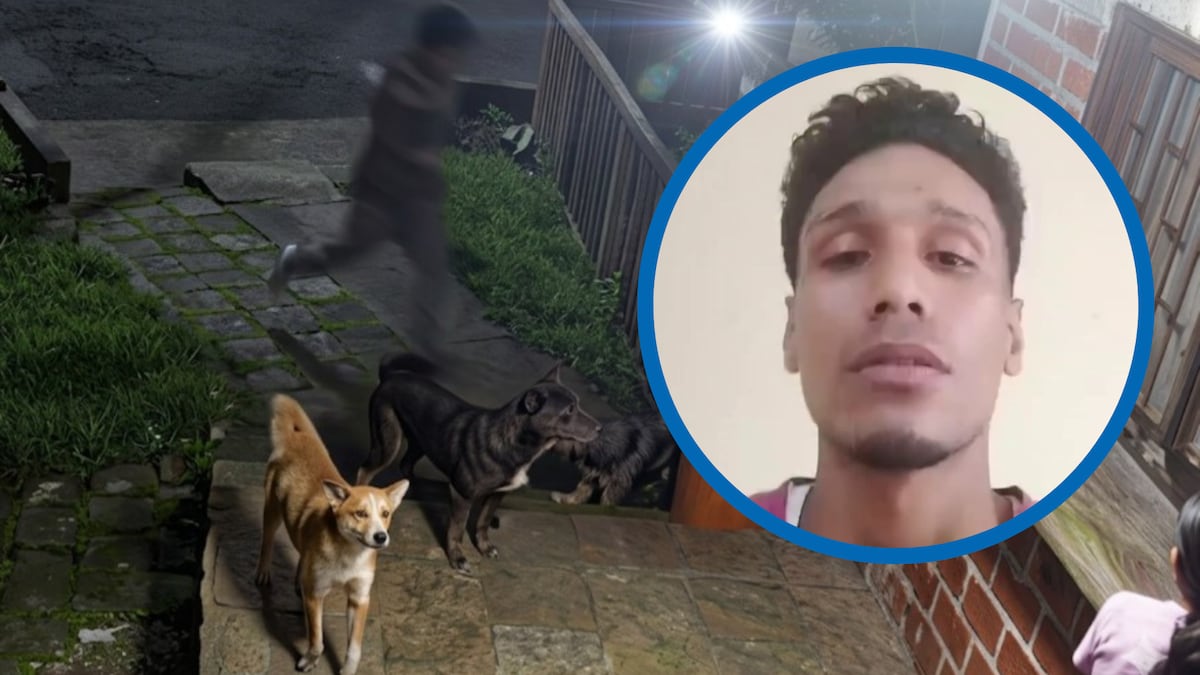 ‘Vengo arrepentido de lo que hice’: Tras indignación en redes, joven pide perdón por agredir a un perrito + VÍDEO