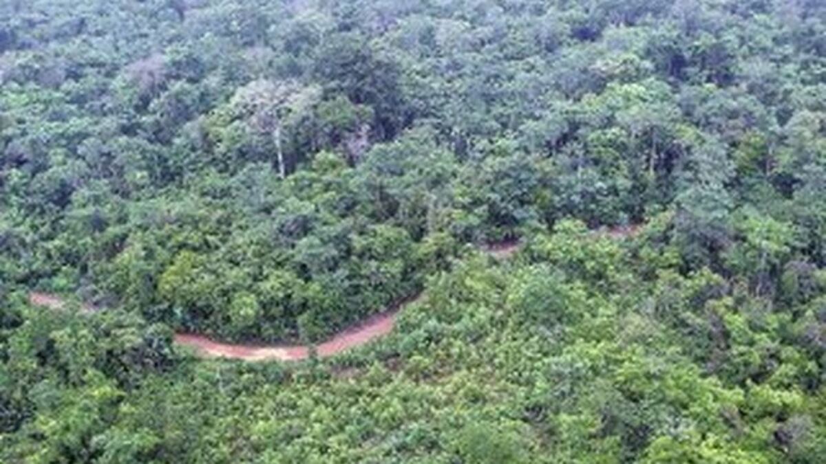 Hombre es aprehendido por cazar animales silvestres en área protegida en Burunga en Arraiján