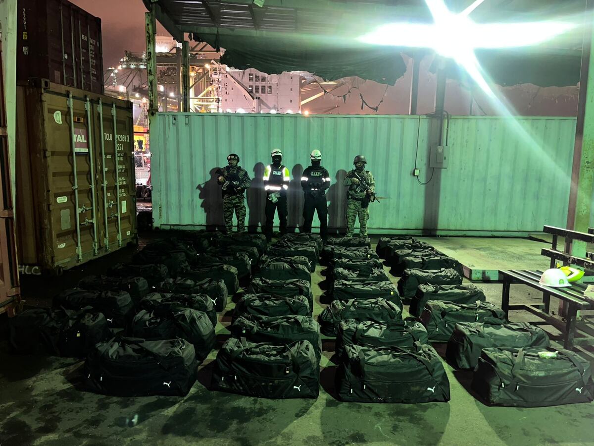 Droga rumbo a India: 1.553 paquetes incautados en un puerto del Pacífico panameño