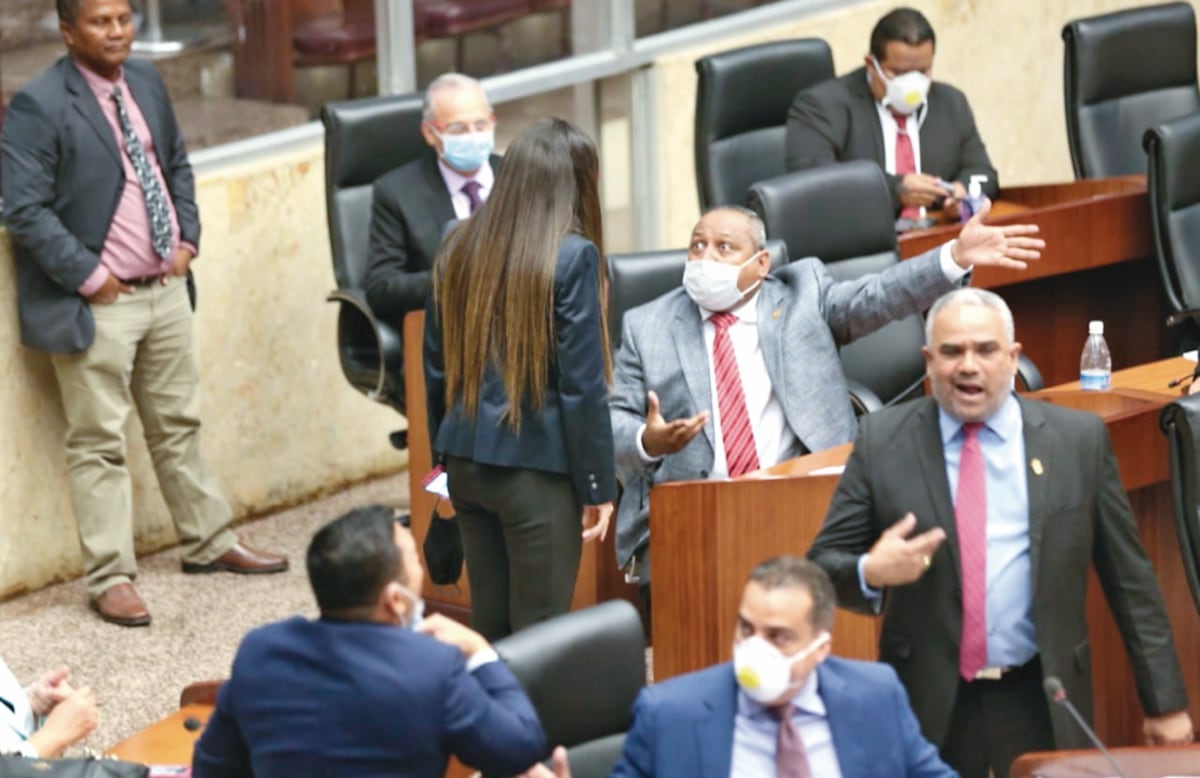 El proyecto 295 será debatido el próximo lunes