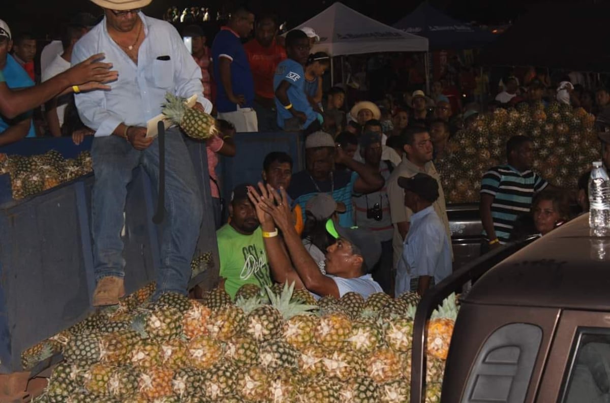 Todo listo para la feria de la piña en Las Zanguegas de La Chorrera