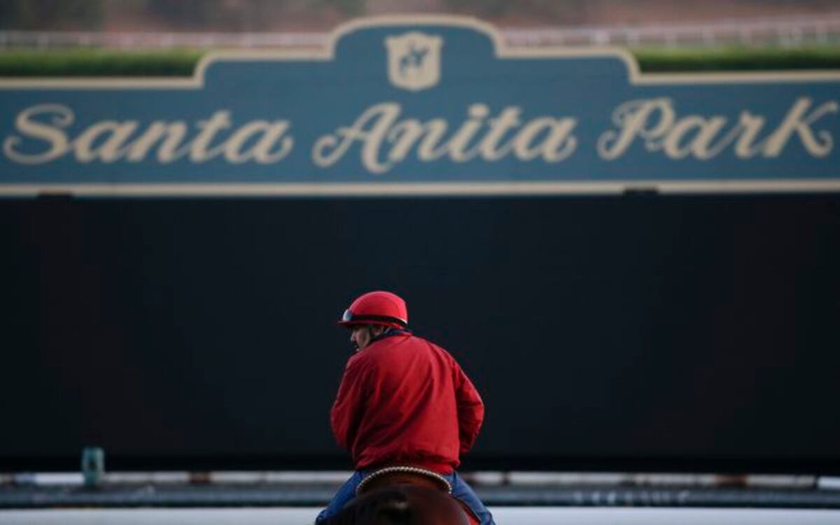 Preocupa aumento de muertes en caballos de carrera