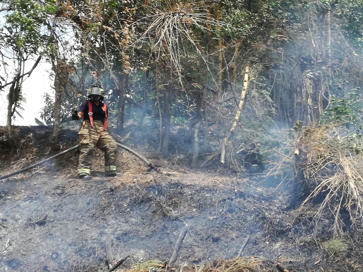EN BRISAS. Se choca con un poste y causa incendio de masa vegetal