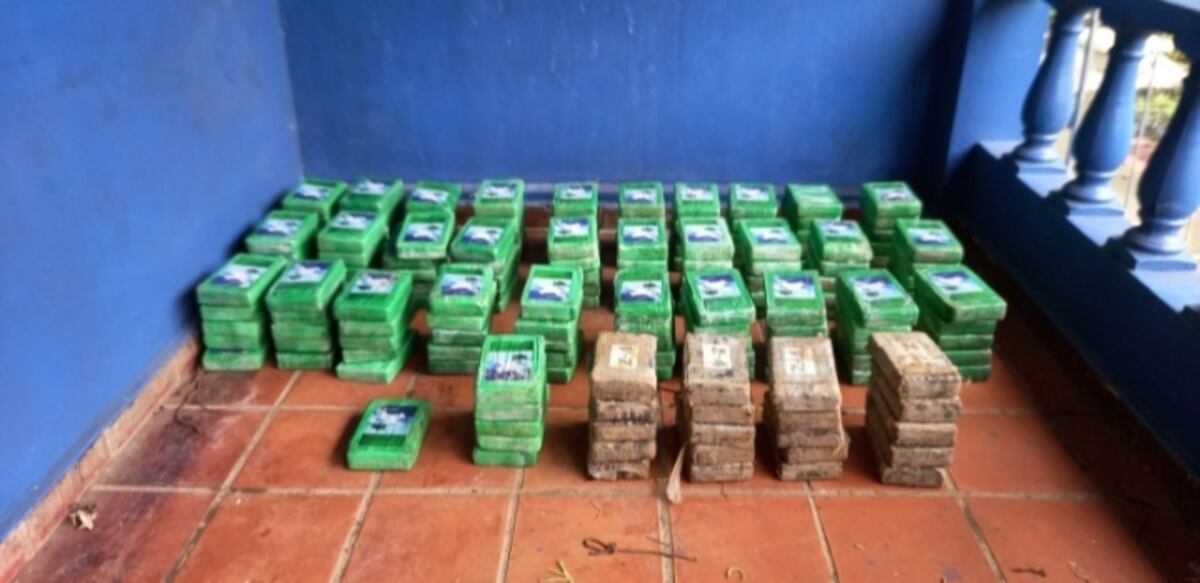 Usaban caballos para transportar droga en la costa arriba de Colón