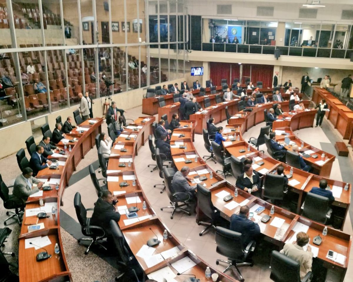 Grave, peligroso e inconstitucional que diputados metan su ficha en las APP