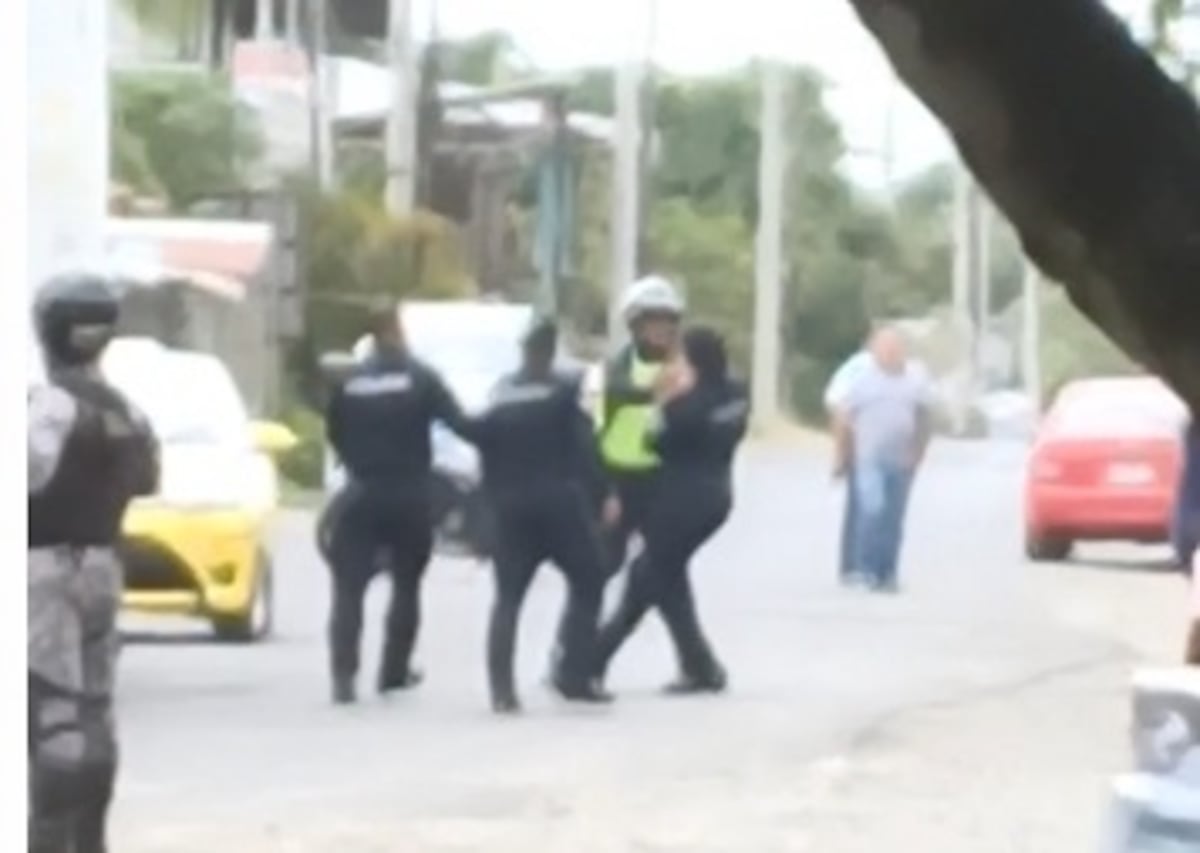 ‘No estoy loca, pero me harté’. Mujer sargento protesta en la calle por supuesto chanchullo policial. Video