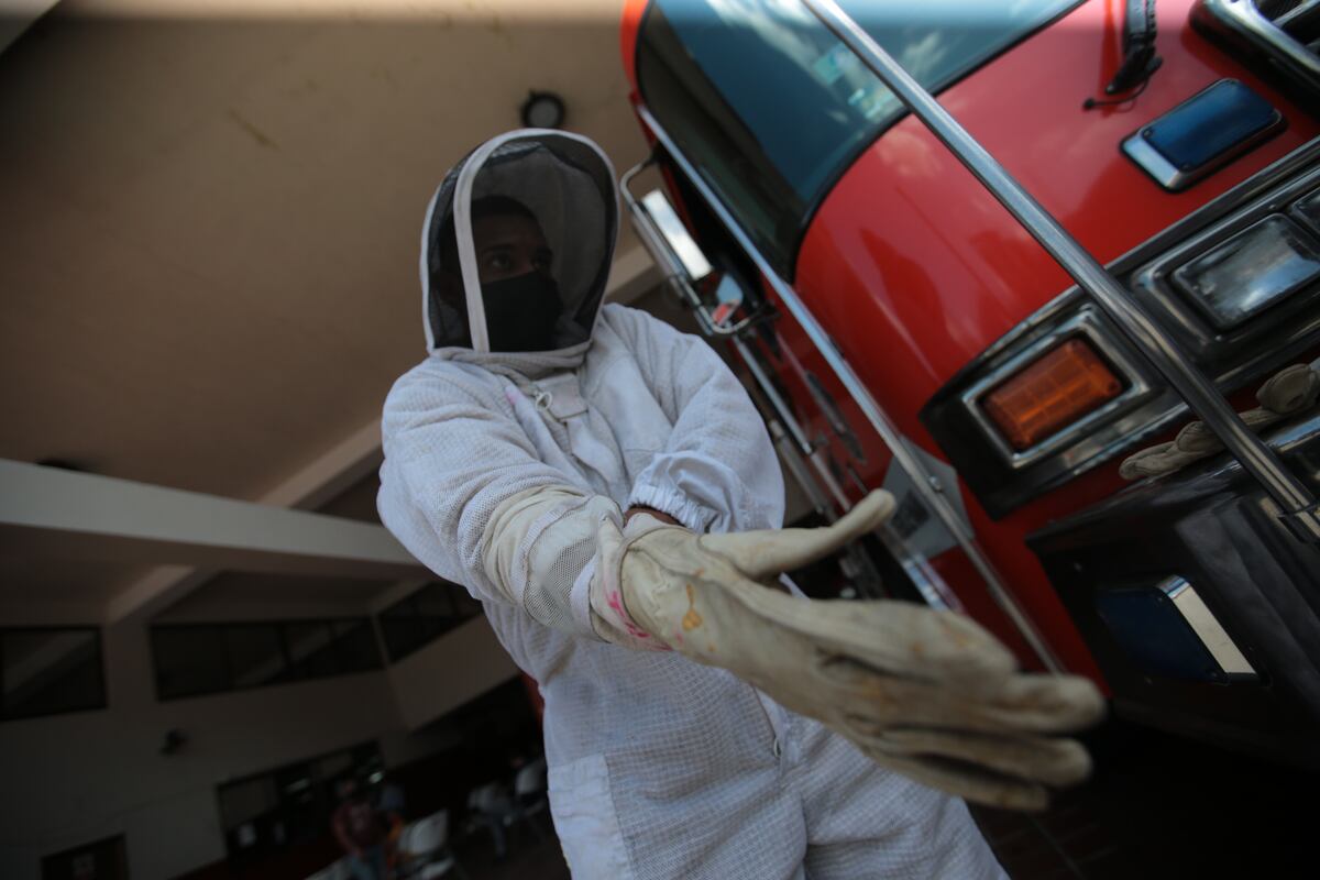 Ataques de abejas es la emergencia más atendida por bomberos