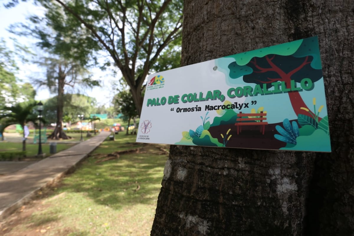 Parque Omar cuenta con nueva tecnología en cada uno de sus 63 árboles