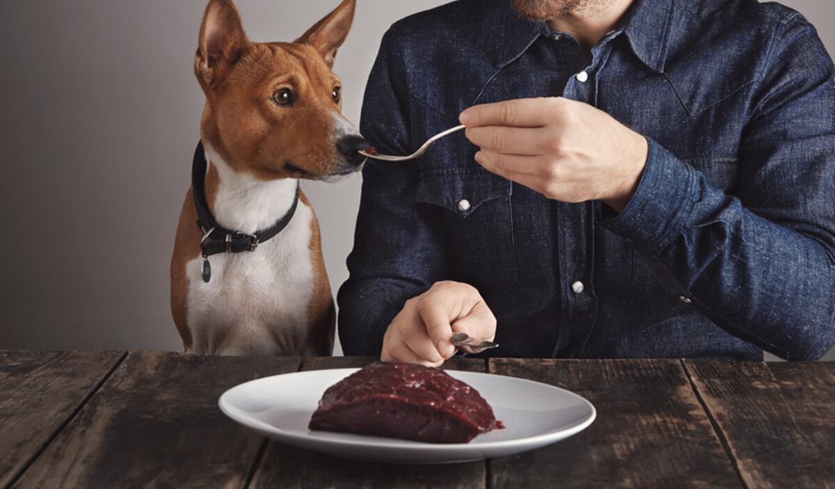 ¡DESESPERACIÓN! Ante escasez de alimentos venezolanos consumen comida para perro