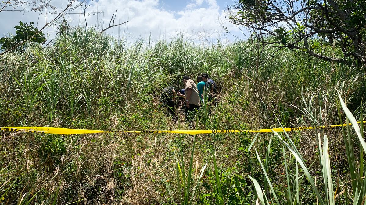 Macabro. Ubican los restos de un cuerpo, presuntamente de Yeyín, el decapitado en San Miguelito. Video