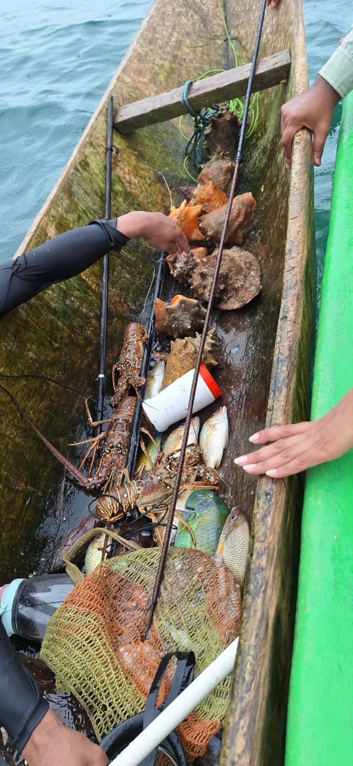 Cierre temporal de Isla Escudo de Veraguas: el paraíso panameño golpeado por la contaminación y pesca ilegal