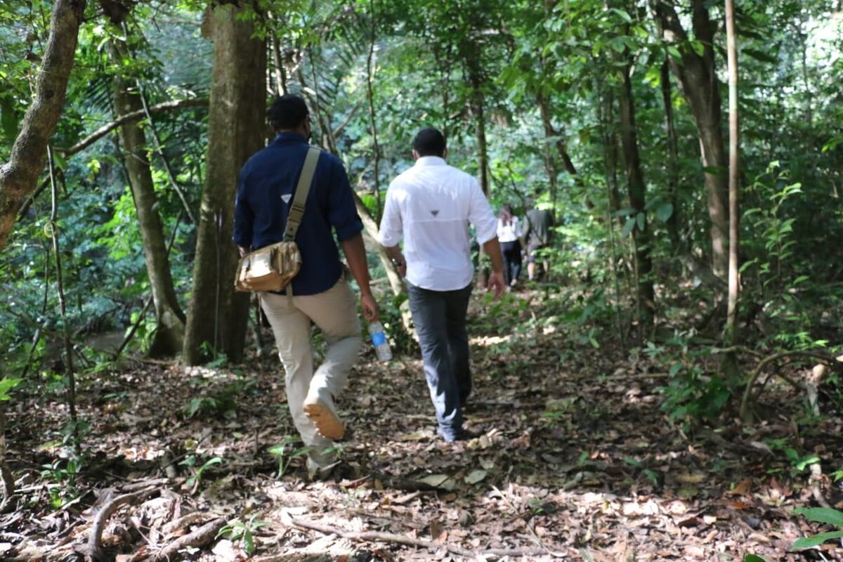 Lanzan iniciativa para promover el turismo verde