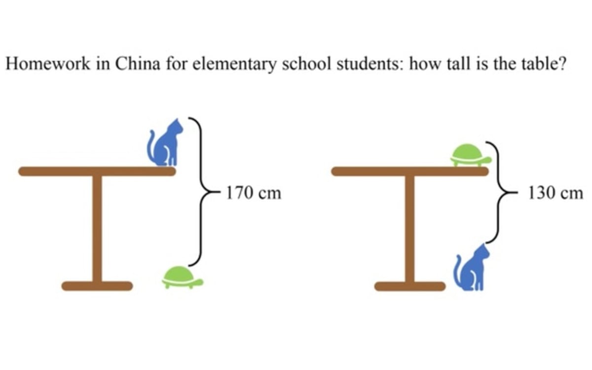Cuál es la respuesta al acertijo chino del gato y la tortuga