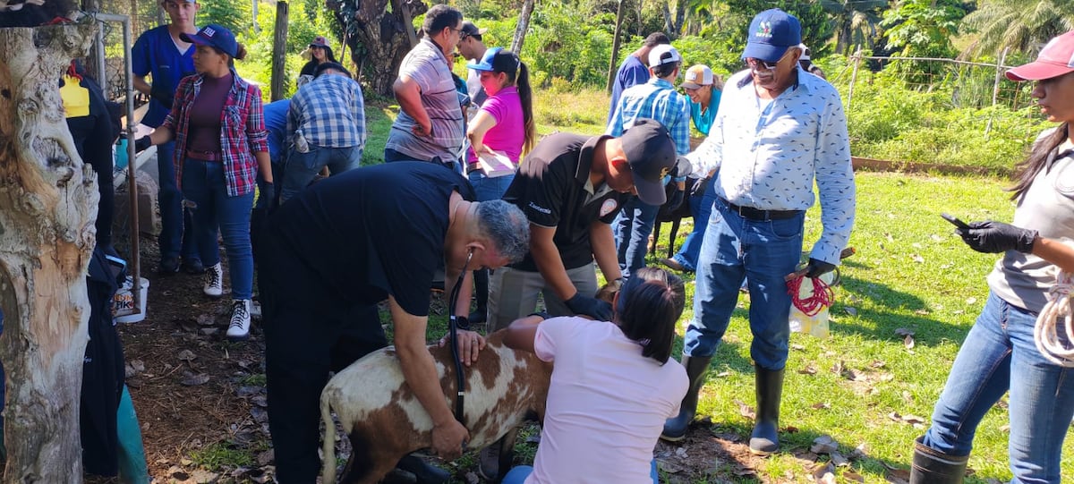 ¡JORNADA MÁS ALLÁ DE LOS LIBROS! 25 estudiantes de Zootecnia conocieron de cerca la producción animal