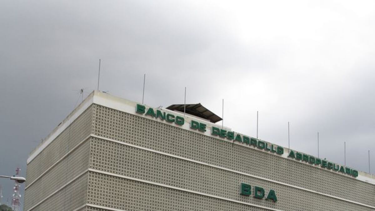 BDA implementa ‘programas de créditos solidarios al sector agropecuario'
