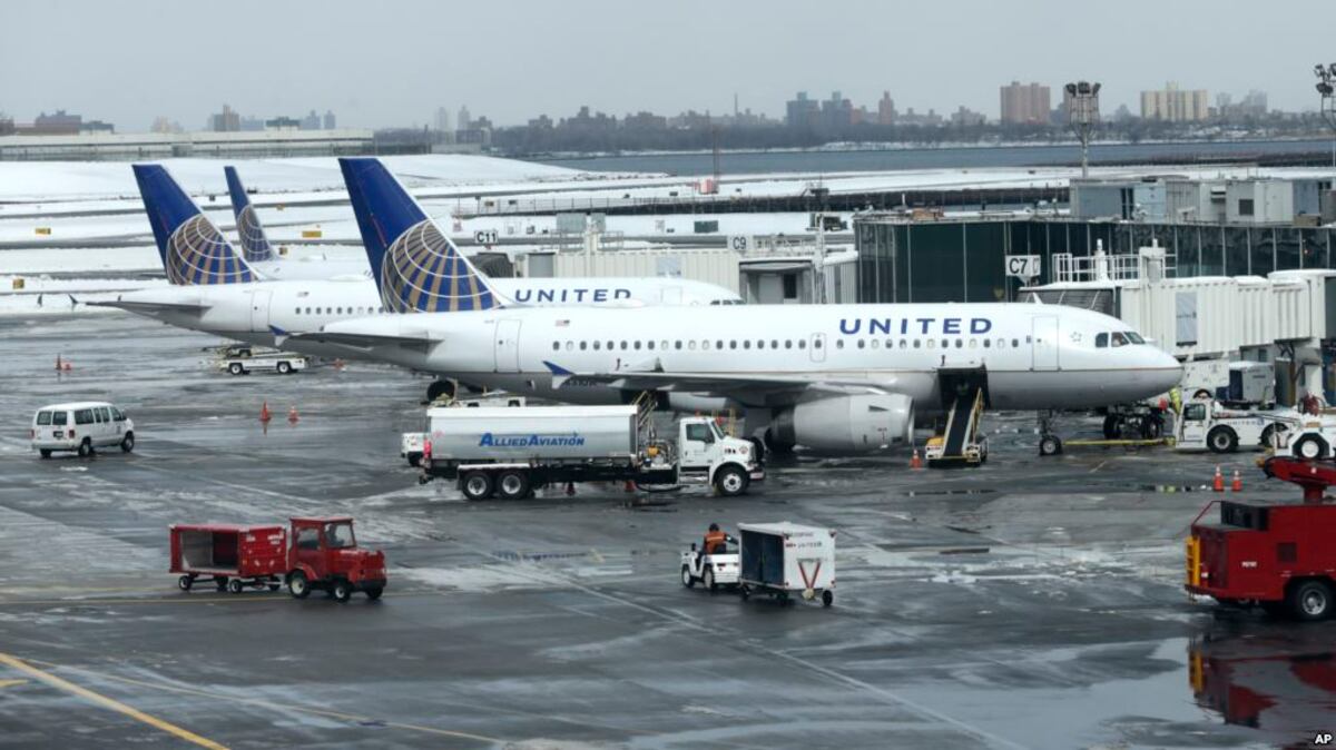 Azafata obliga a pasajera a colocar su perro en el portaequipaje y este muere