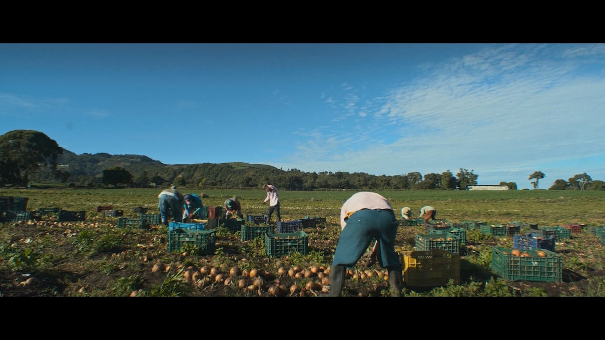 EXCLUSIVA: Miguel González convierte la memoria de su abuela en cine con ‘Saloma’