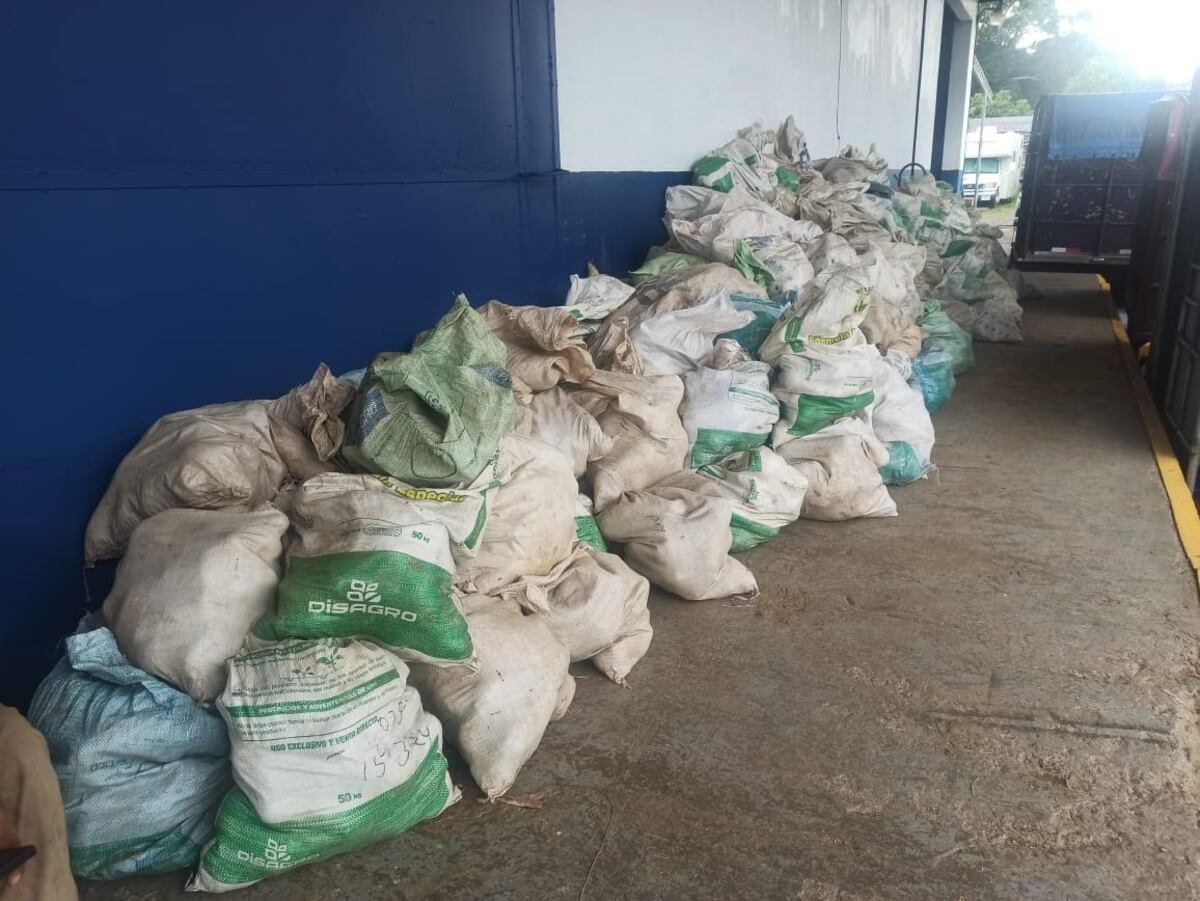 Contrabando agrícola: Retienen cargamentos de arroz y ñame en Chiriquí