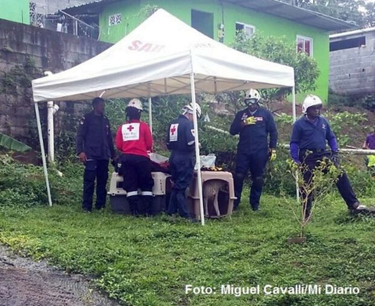 Annette Quinn y su perro rescatista buscan al desaparecido de Nueva Libia