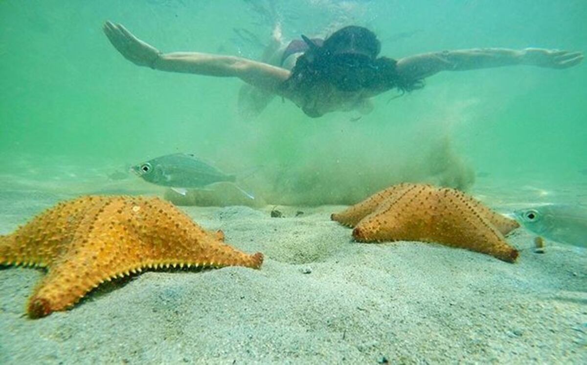 ¡HORROR! Venezolano viola a una alemana en Bocas de Toro. Tenemos los detalles