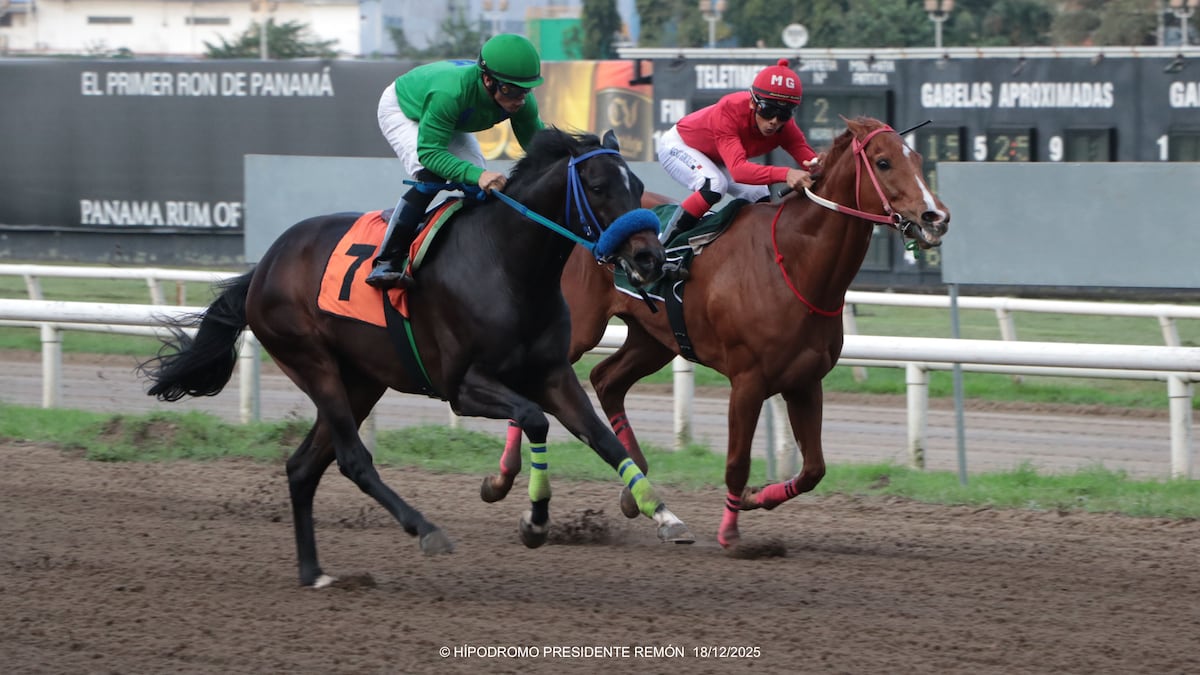 Acumulados millonarios en el Hipódromo Remón en el cierre de la temporada 2025: ¡va con todo!