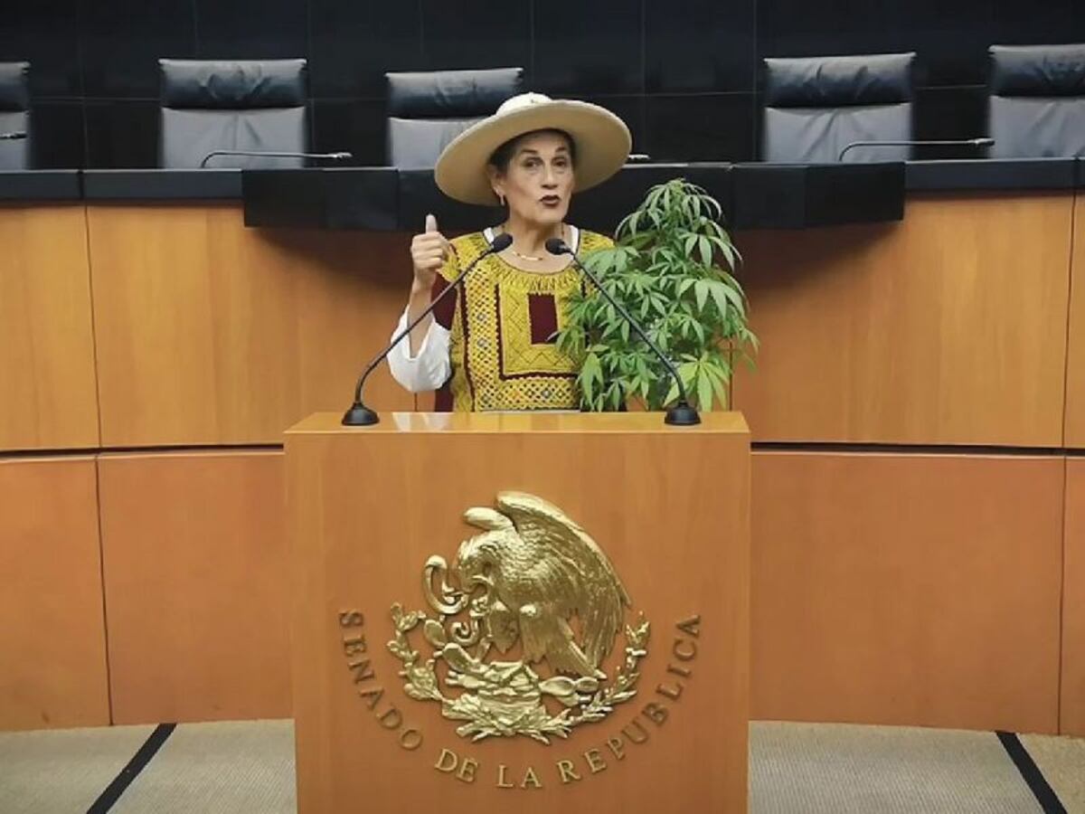 Conoce a Jesusa Rodríguez. López Obrador la propone como embajadora en Panamá. Video