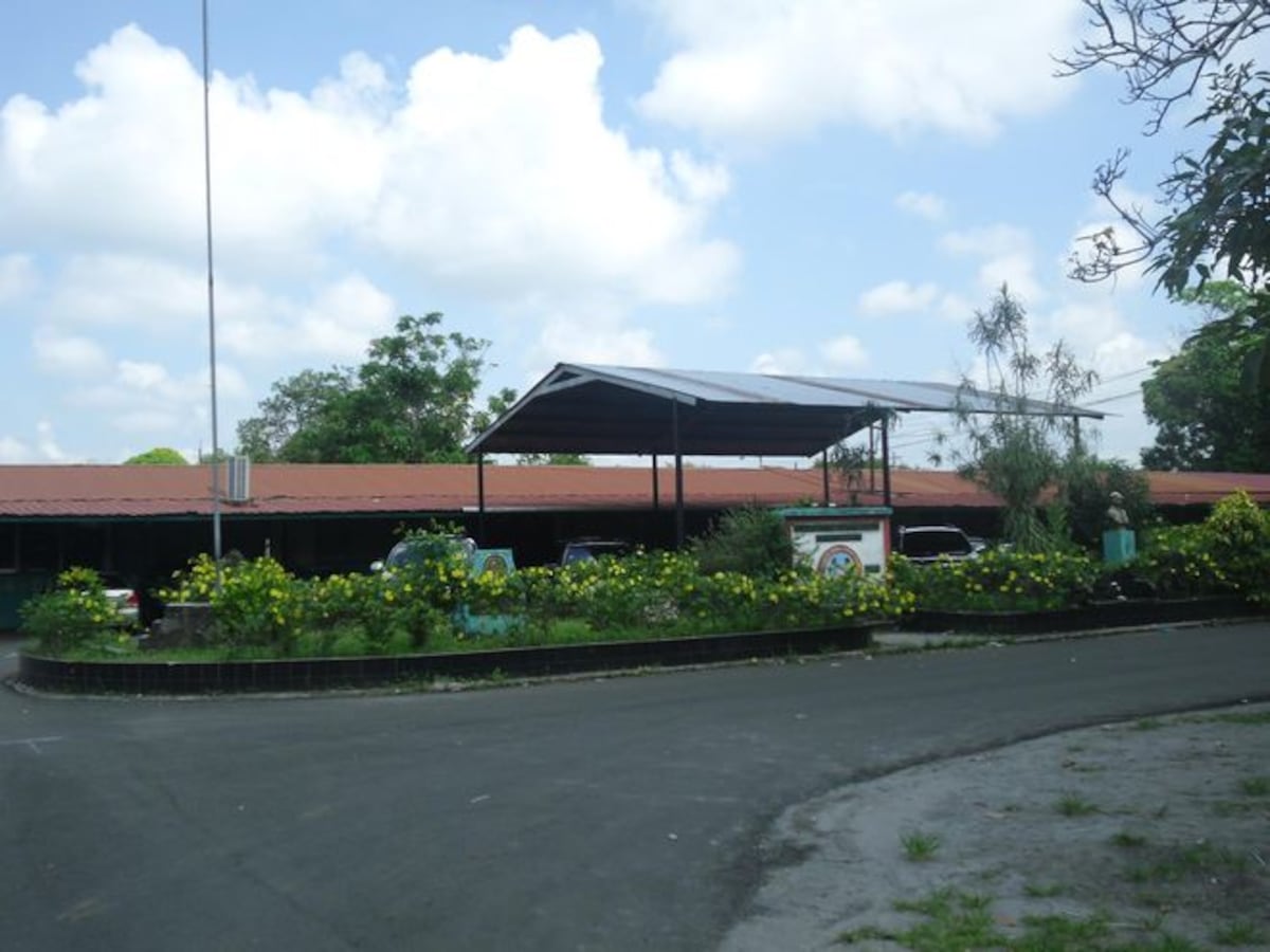 Muere profesora, madre de joven que murió ahogado en medio de retiro espiritual