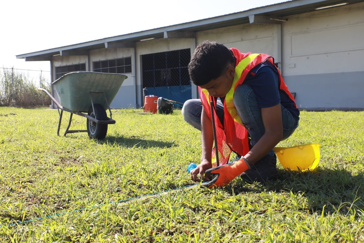 ‘Pa’ seguir pa’ lante’: el centro que está rescatando a jóvenes que dejaron la escuela
