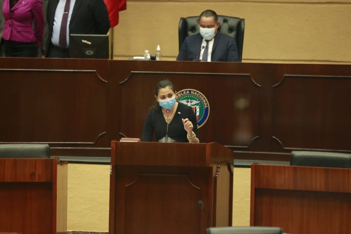 Ministra de Gobierno presenta proyecto que tipifica la desobediencia de medidas de aislamiento