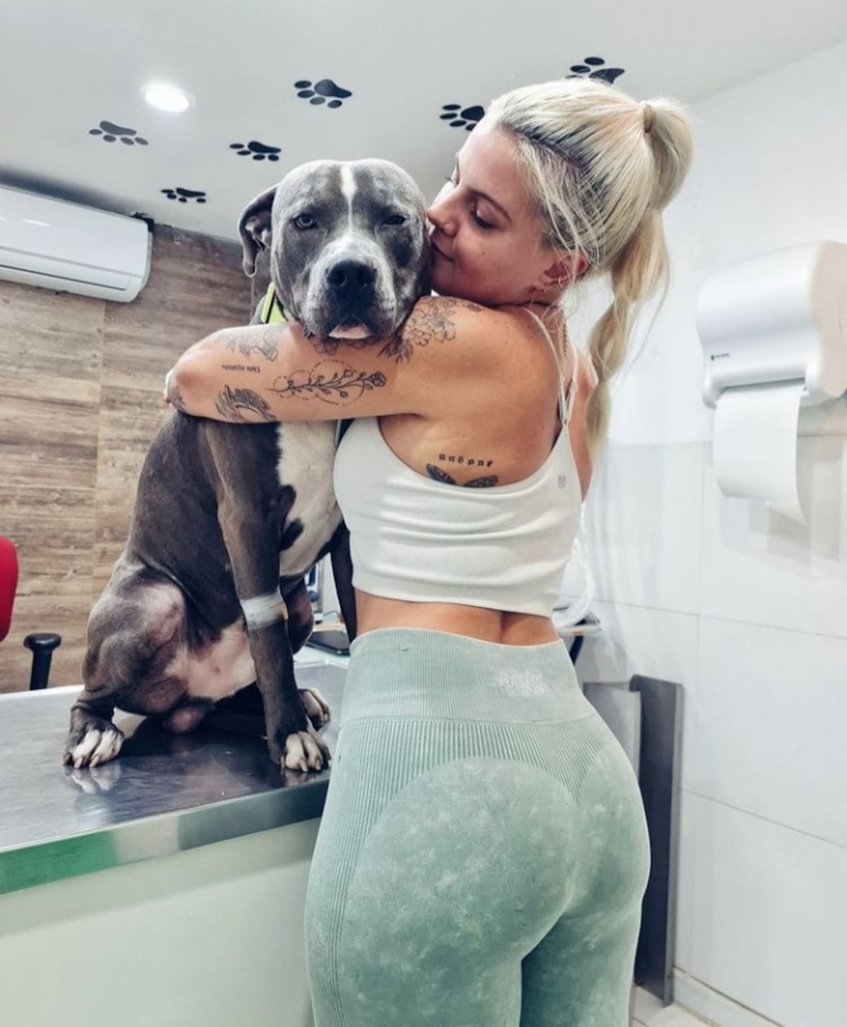 Rake sobre el caso del pitbull: ‘Matarlo no es la solución, cualquier perro puede causar un accidente’