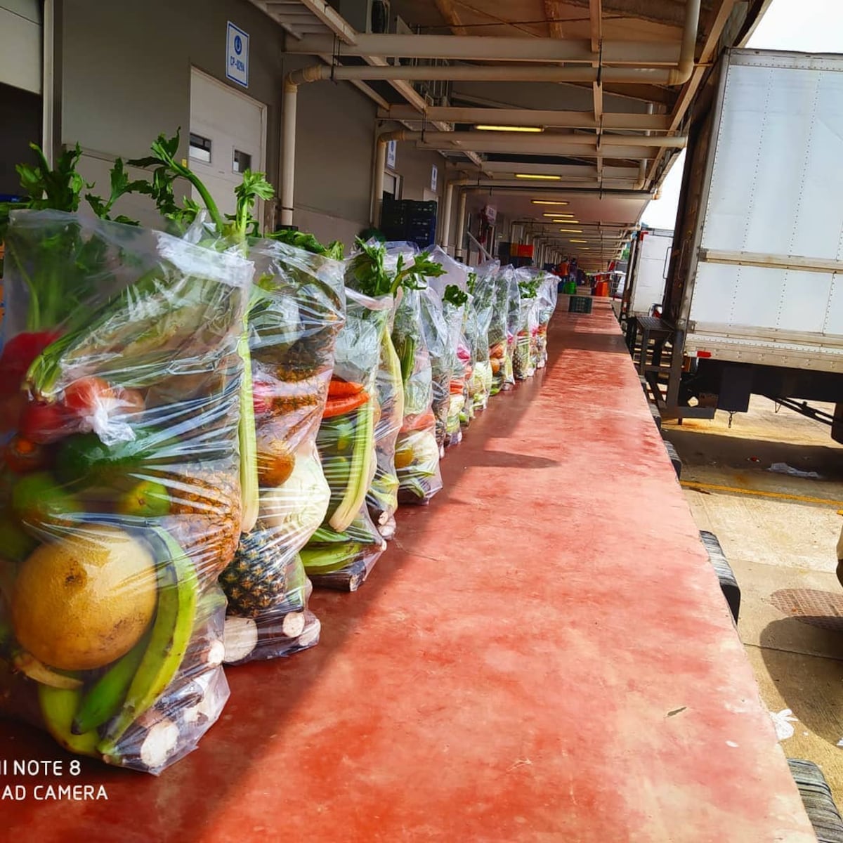 Daniel, el campeón de Calle 7 ahora vende puercas. Al inicio pensó en ‘el qué dirán’