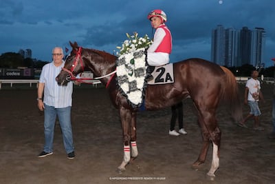¡Rumbo a Puerto Rico! ‘Daddy King’ conquista clásico en el Hipódromo Presidente Remón y representará a Panamá en la Copa Velocidad del Caribe