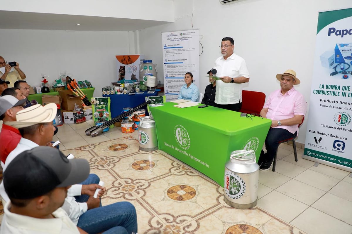 Cheques de BDA impulsan producción de ñame, maíz mecanizado y hatos en Azuero