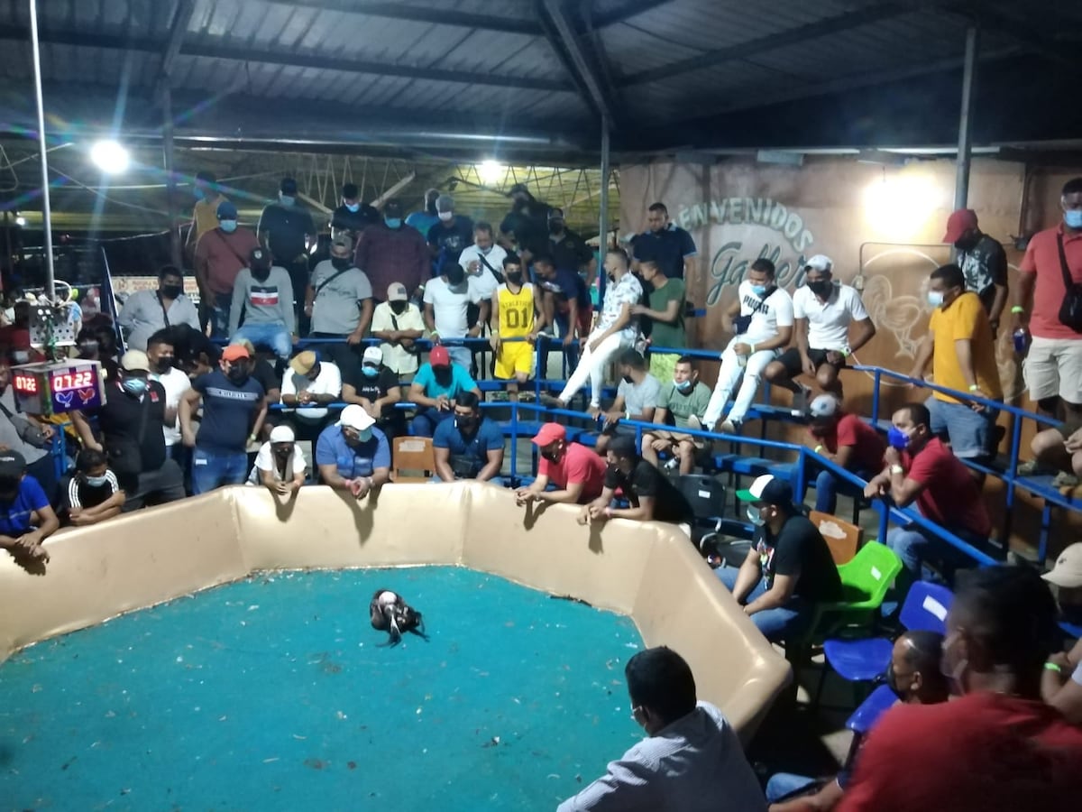 Minsa sanciona gallera en Chepo por incumplir con las normas sanitarias