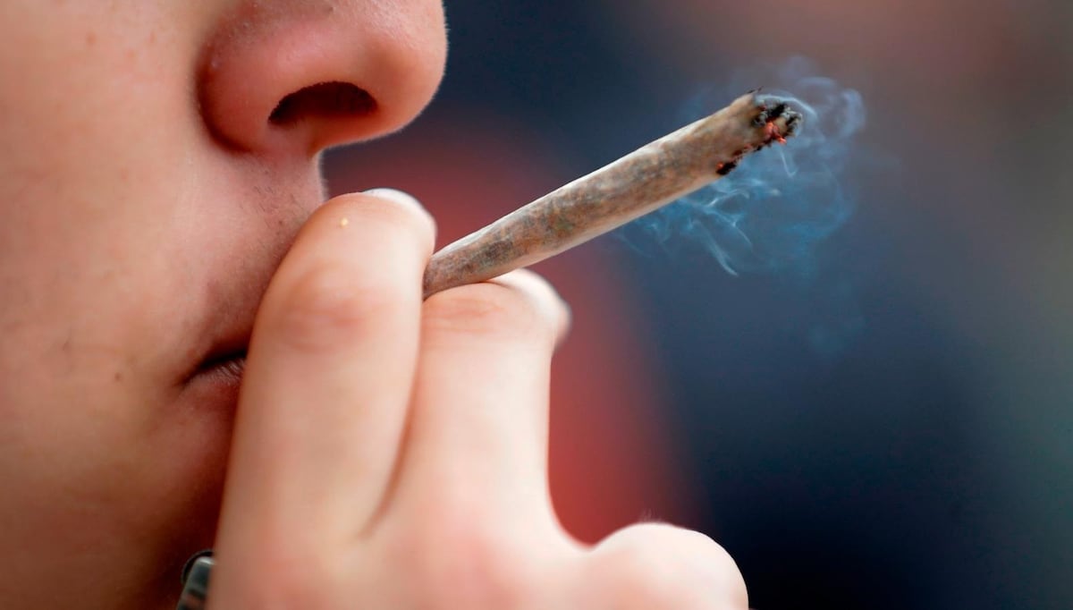 Cannabis en Alemania: Ley permitirá 25 gramos en espacios públicos y hasta tres plantas en casas para consumo personal