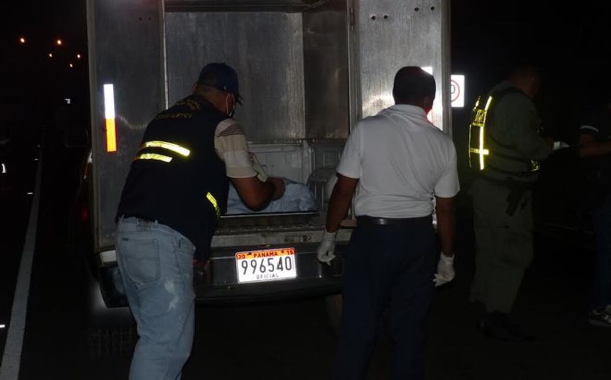 Chocó contra un árbol y murió