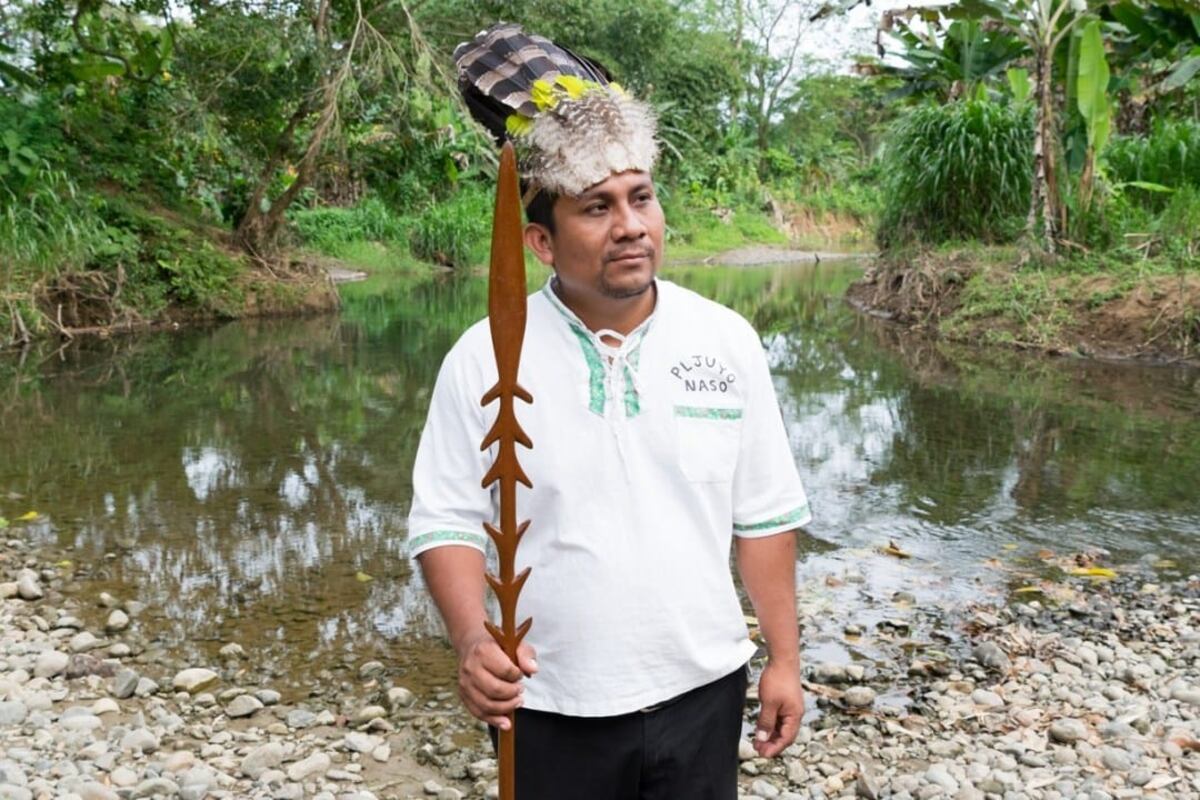 Pueblo Naso pide a gritos cese la tala ilegal de árboles