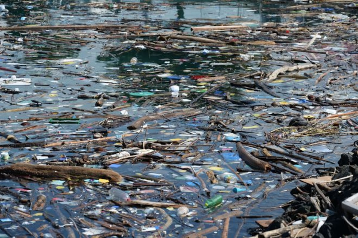 ¡COCHINADA!  Se acaba el año y miren cómo está Amador |VIDEO + FOTOS