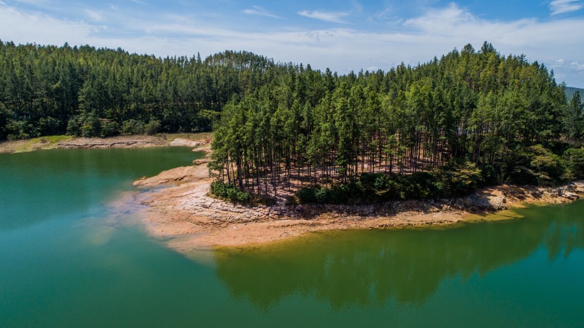 Ahora puedes pagar tu entrada a las áreas protegidas de Panamá en línea