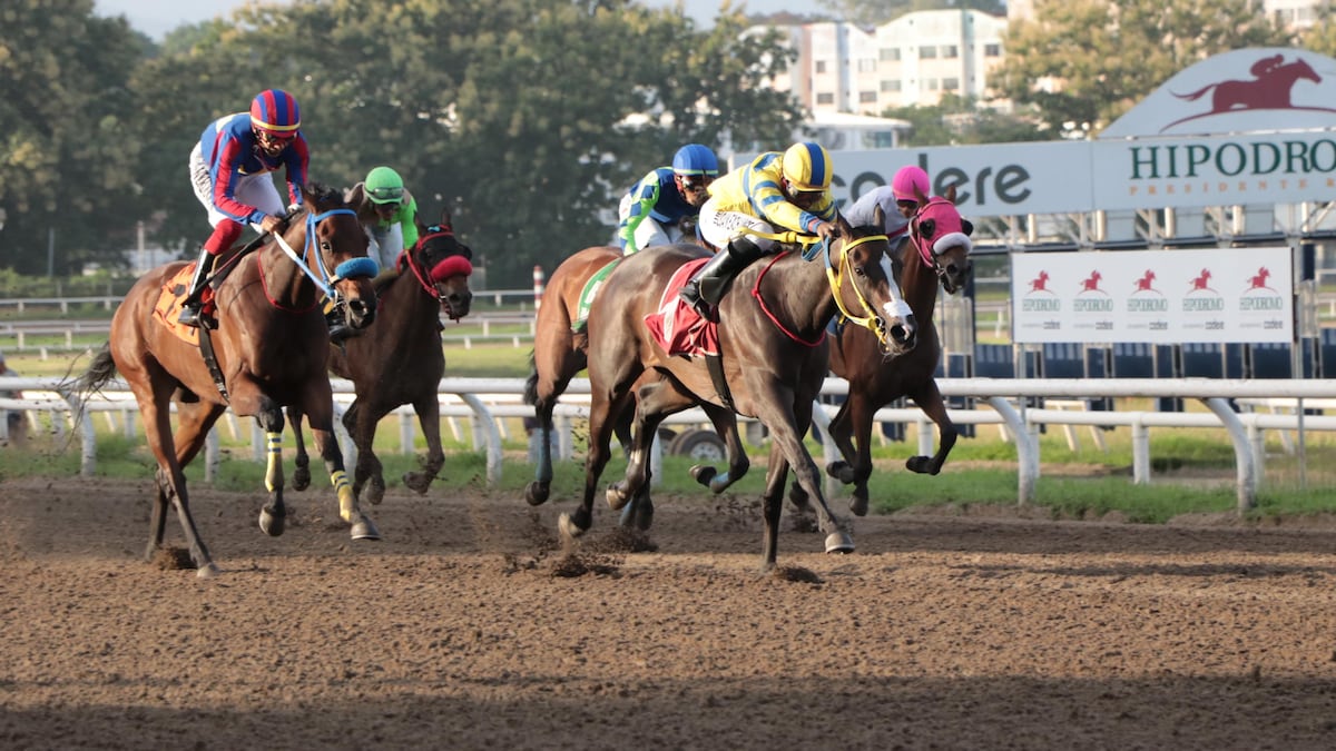 Doña Perfecta busca otro paso hacia la Triple Corona