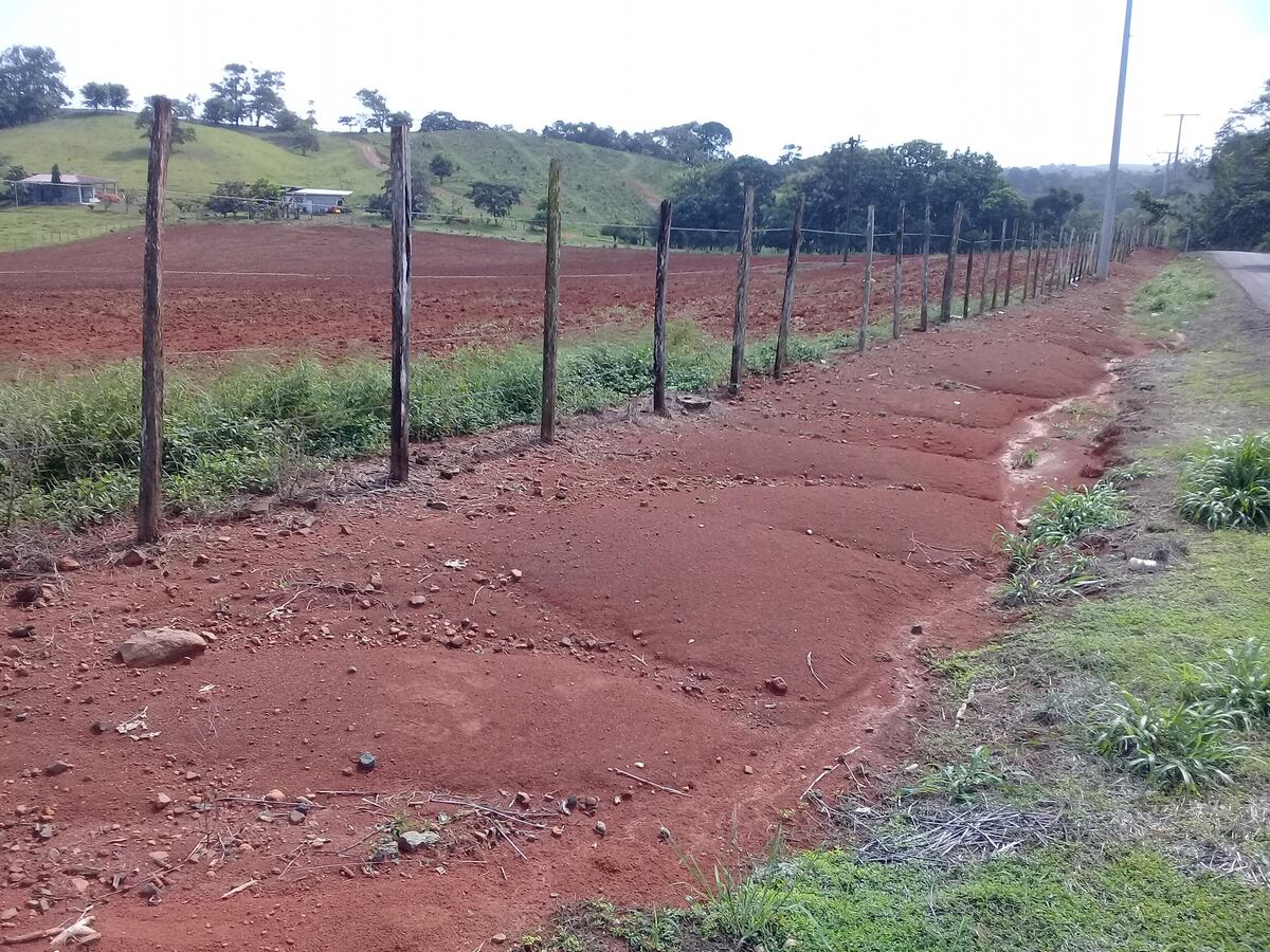 Alerta en Panamá: el 32% del país sufre por la erosión y la deforestación