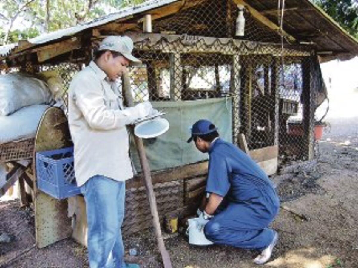 Parita de Herrera reporta el primer caso de hantavirus este 2021