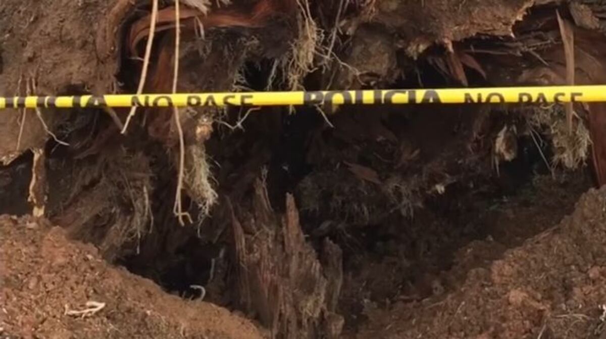 Mamá de niño que muere al caerle árbol rompe el silencio, mañana es el sepelio