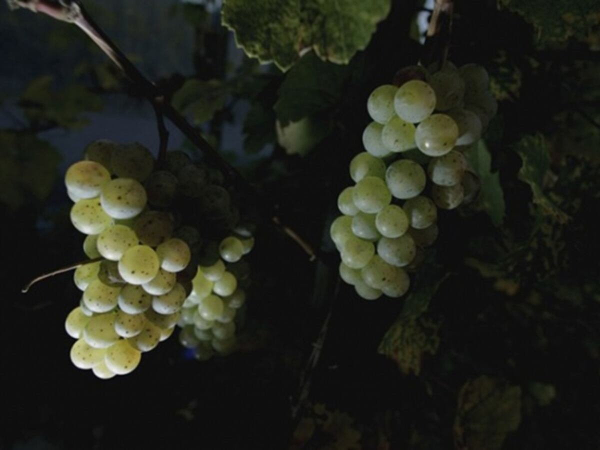 Muere niño atragantado por las uvas de Año Nuevo 