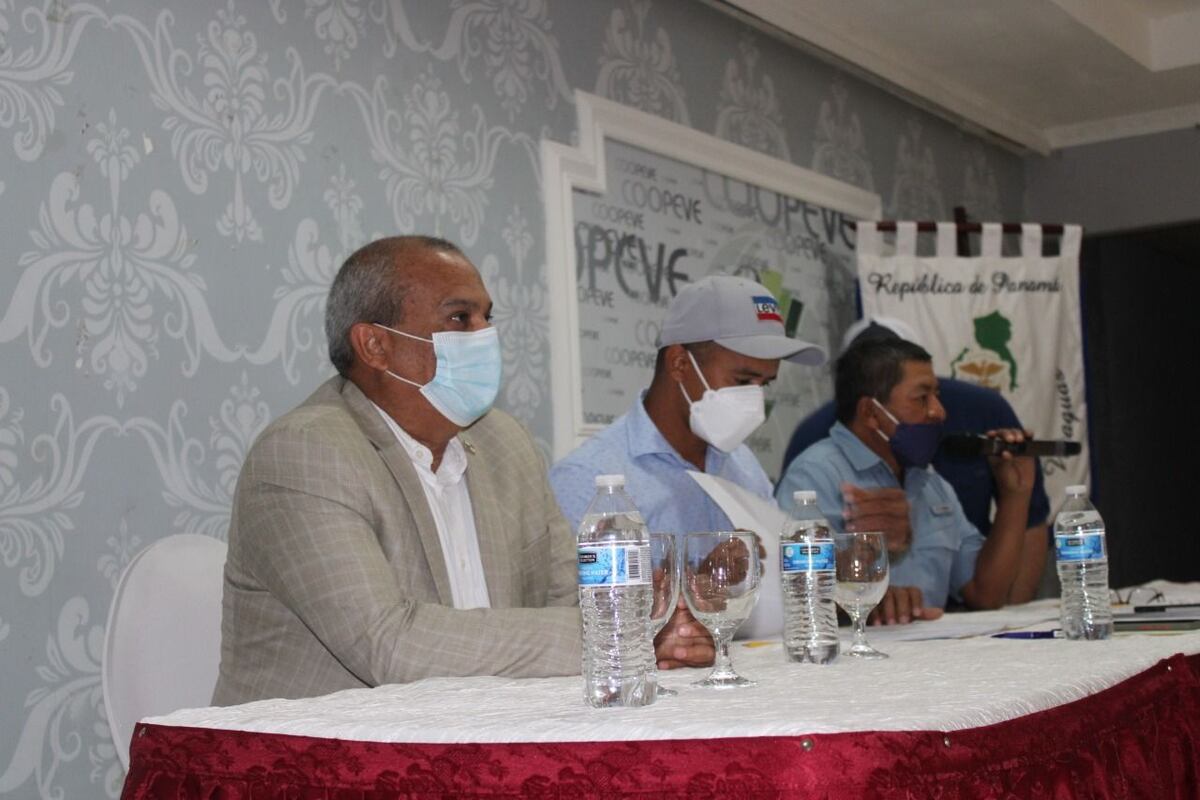 MiAmbiente rechaza EIA de la mina El Remance, en San Francisco de Veraguas