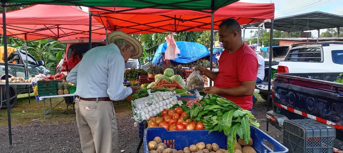 IMA anuncia agroferias este martes 20 de enero en varias provincias del país
