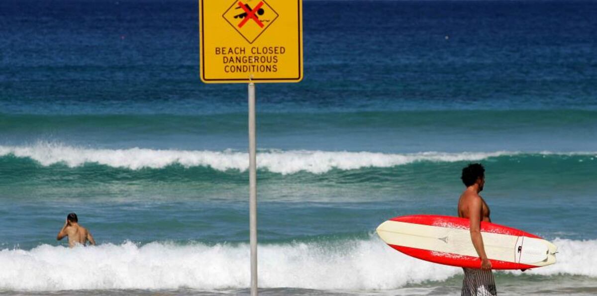 Preocupación en las playas australianas por ataques de tiburones